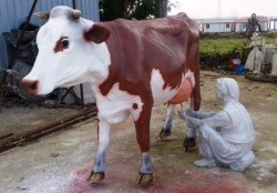 İnek ve Süt Sağan kadın