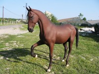 Fiberglass Arap Atı Heykeli 